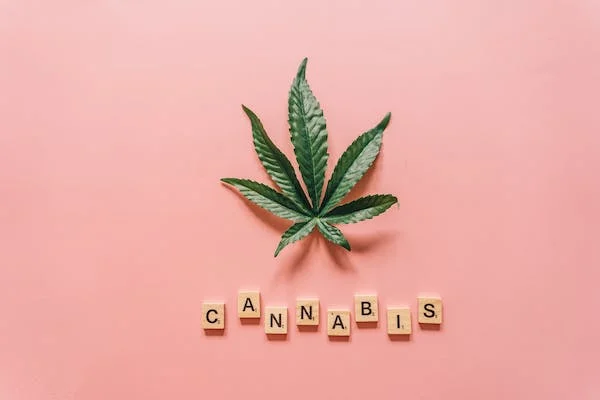 Cannabis leaf on a pink background with wood tiles spelling out cannabis
