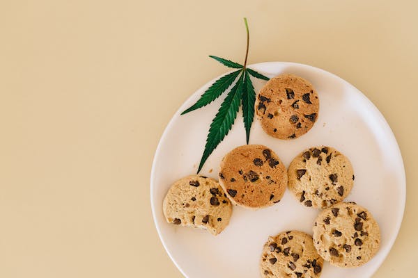 Plate of cannabis chocolate chip cookies